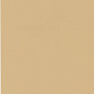 RAL 1001